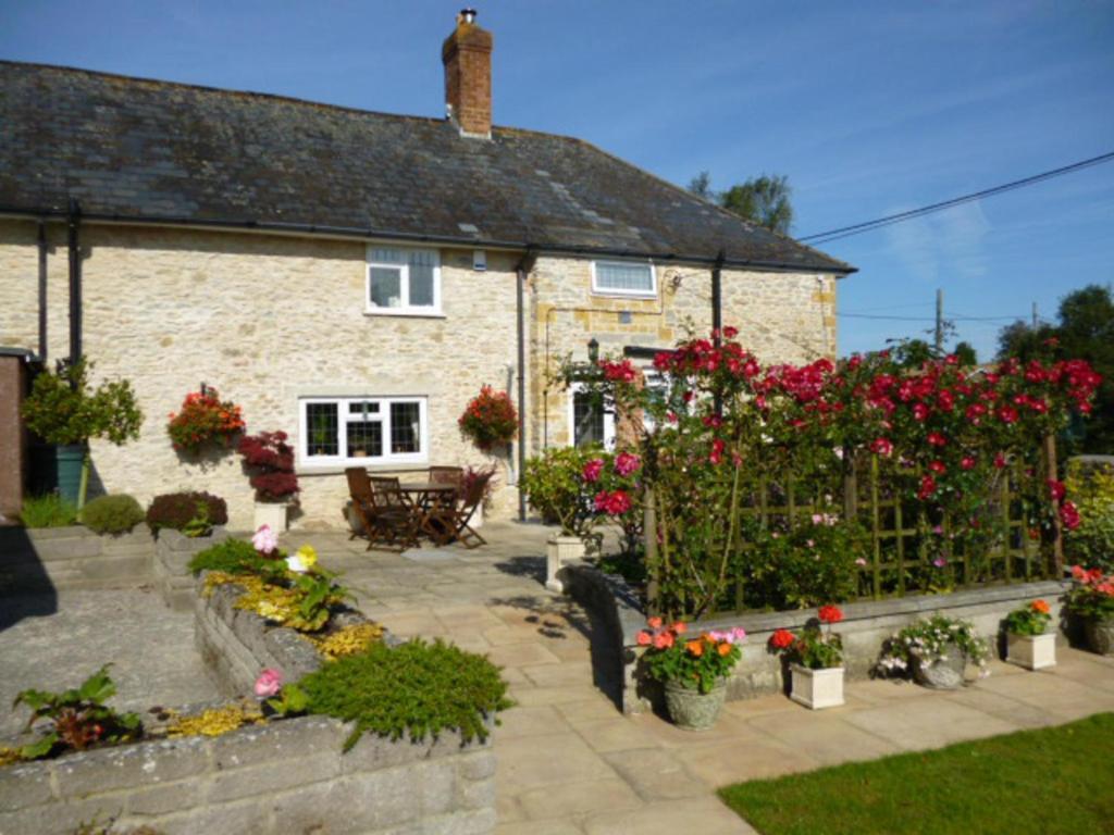 Quiet Woman House Bed and Breakfast Halstock Exteriör bild