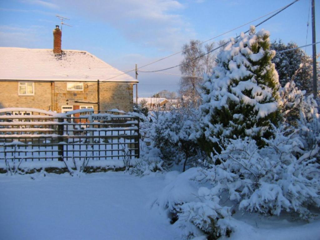 Quiet Woman House Bed and Breakfast Halstock Exteriör bild