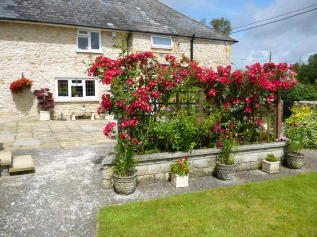 Quiet Woman House Bed and Breakfast Halstock Exteriör bild