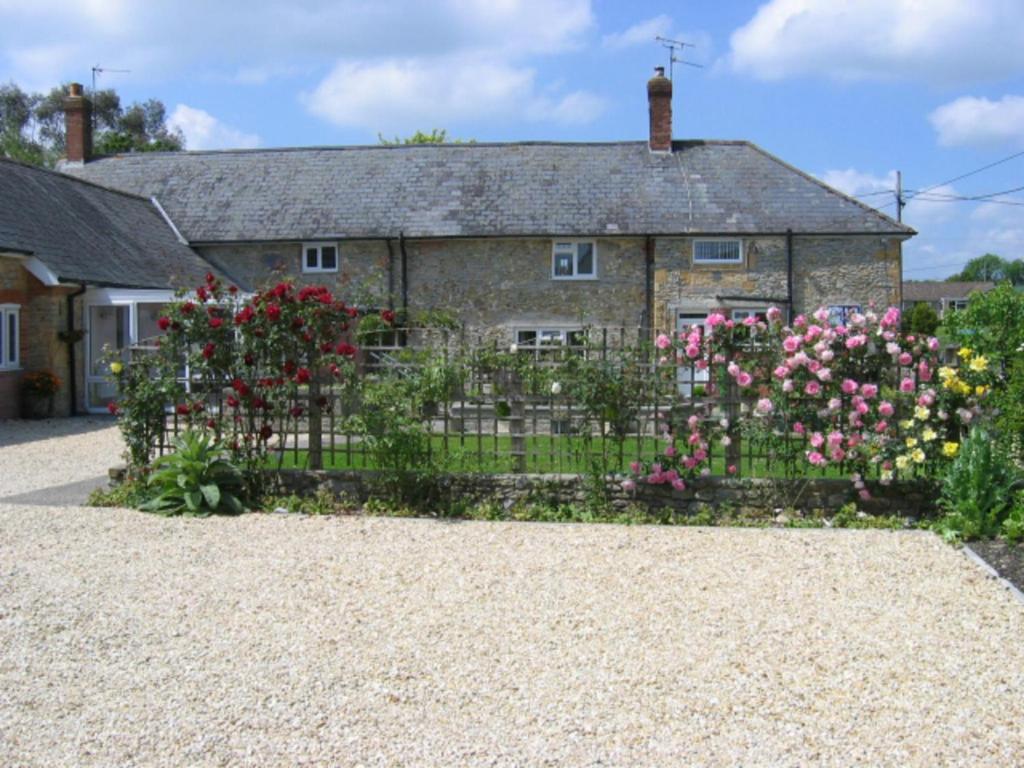 Quiet Woman House Bed and Breakfast Halstock Exteriör bild